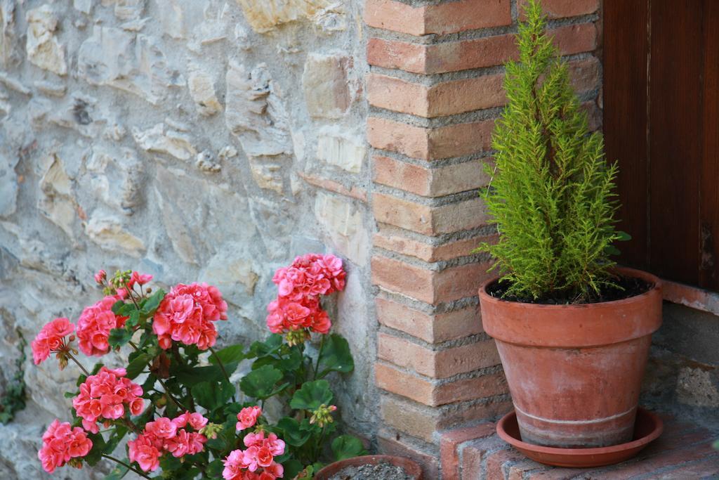 Ferienwohnung Borgo Fango Montieri Exterior foto